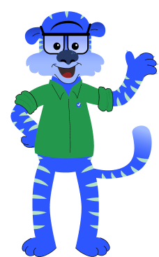 Gramma tiger